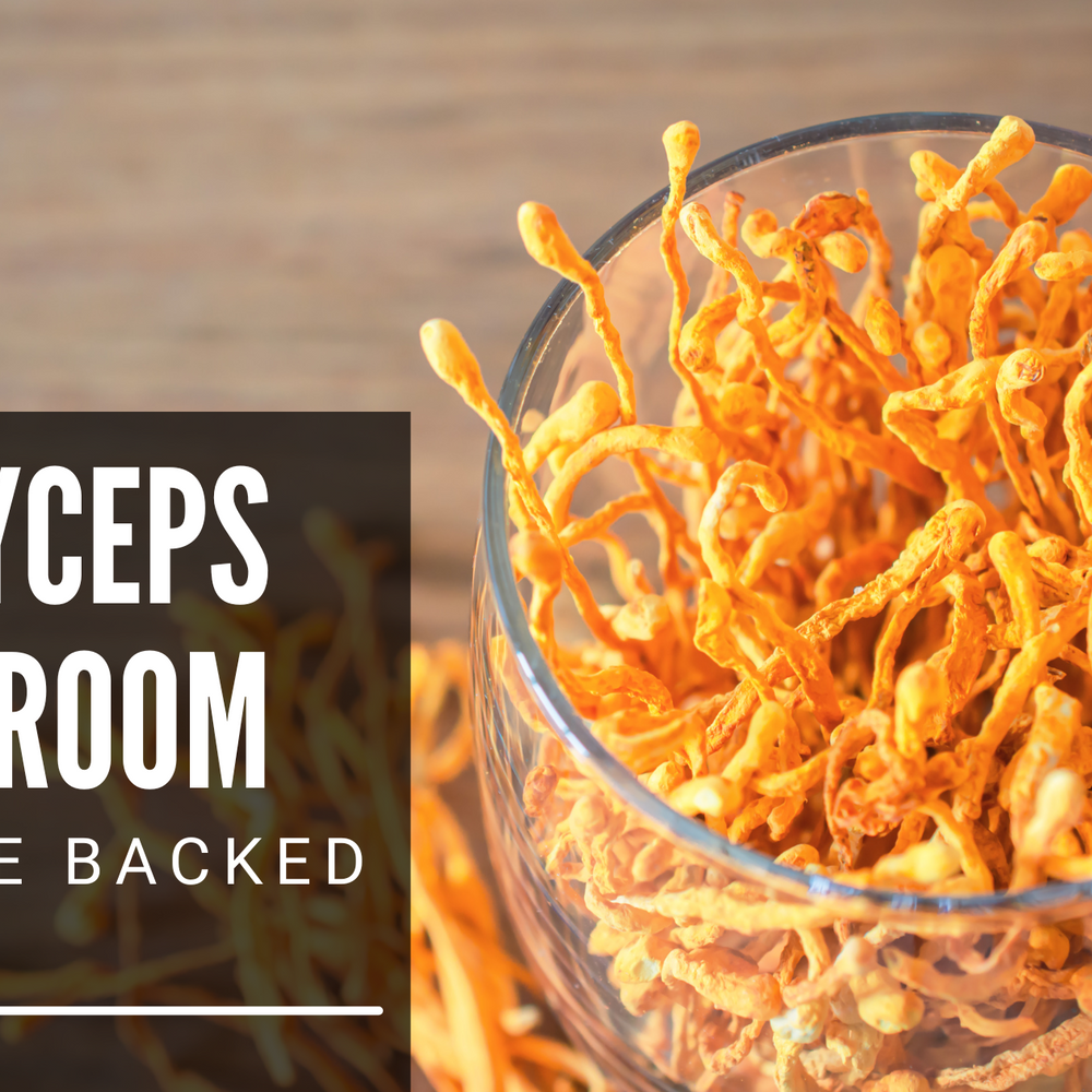 Cordyceps Mushroom – Science Backed Facts