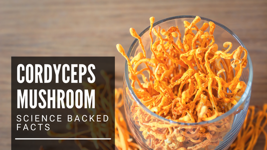 Cordyceps Mushroom – Science Backed Facts