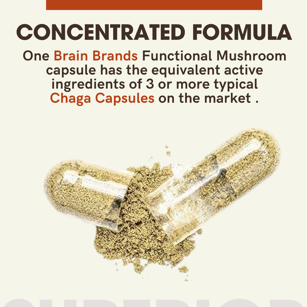 
                  
                    Chaga Mushroom Capsules – Longevity
                  
                