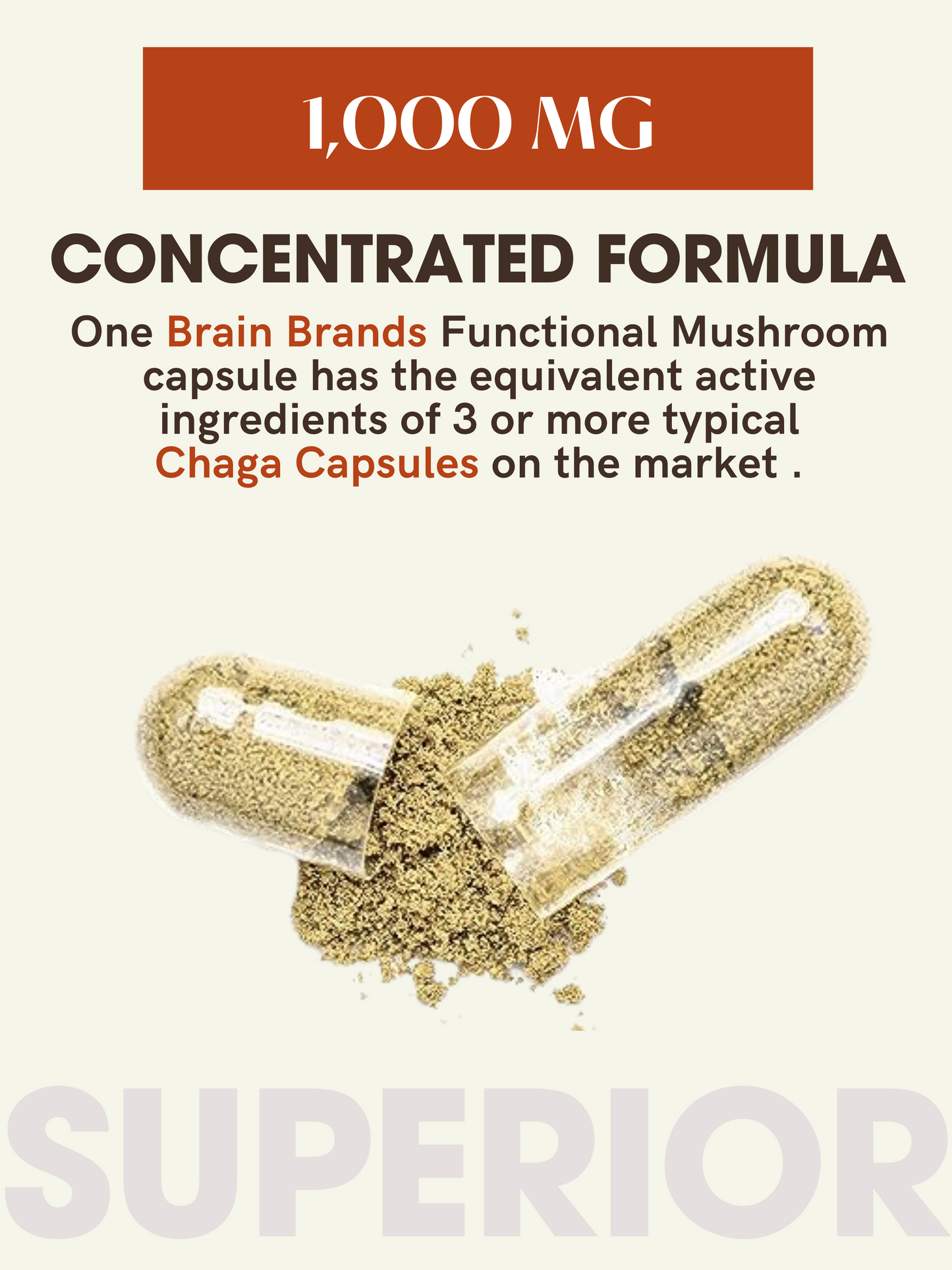 
                  
                    Chaga Mushroom Capsules – Longevity
                  
                