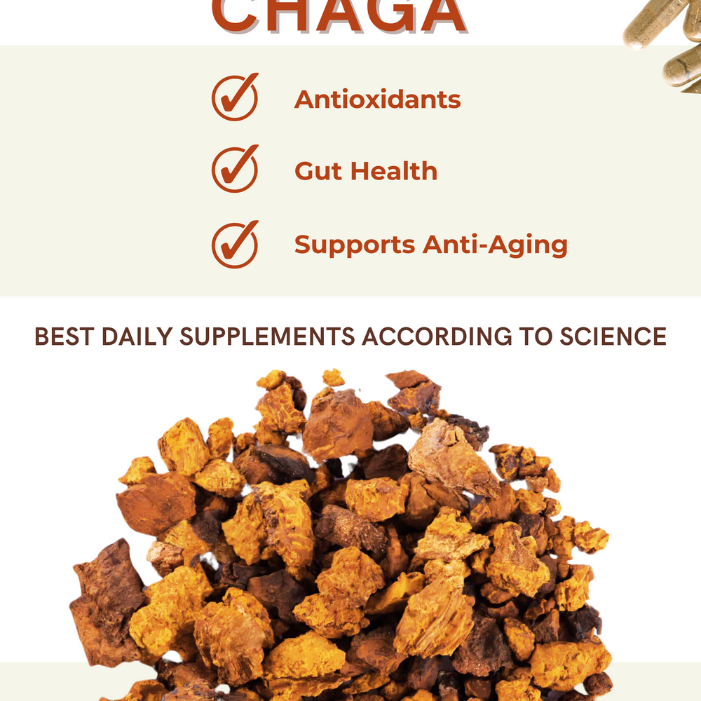 
                  
                    Chaga Mushroom Capsules – Longevity
                  
                