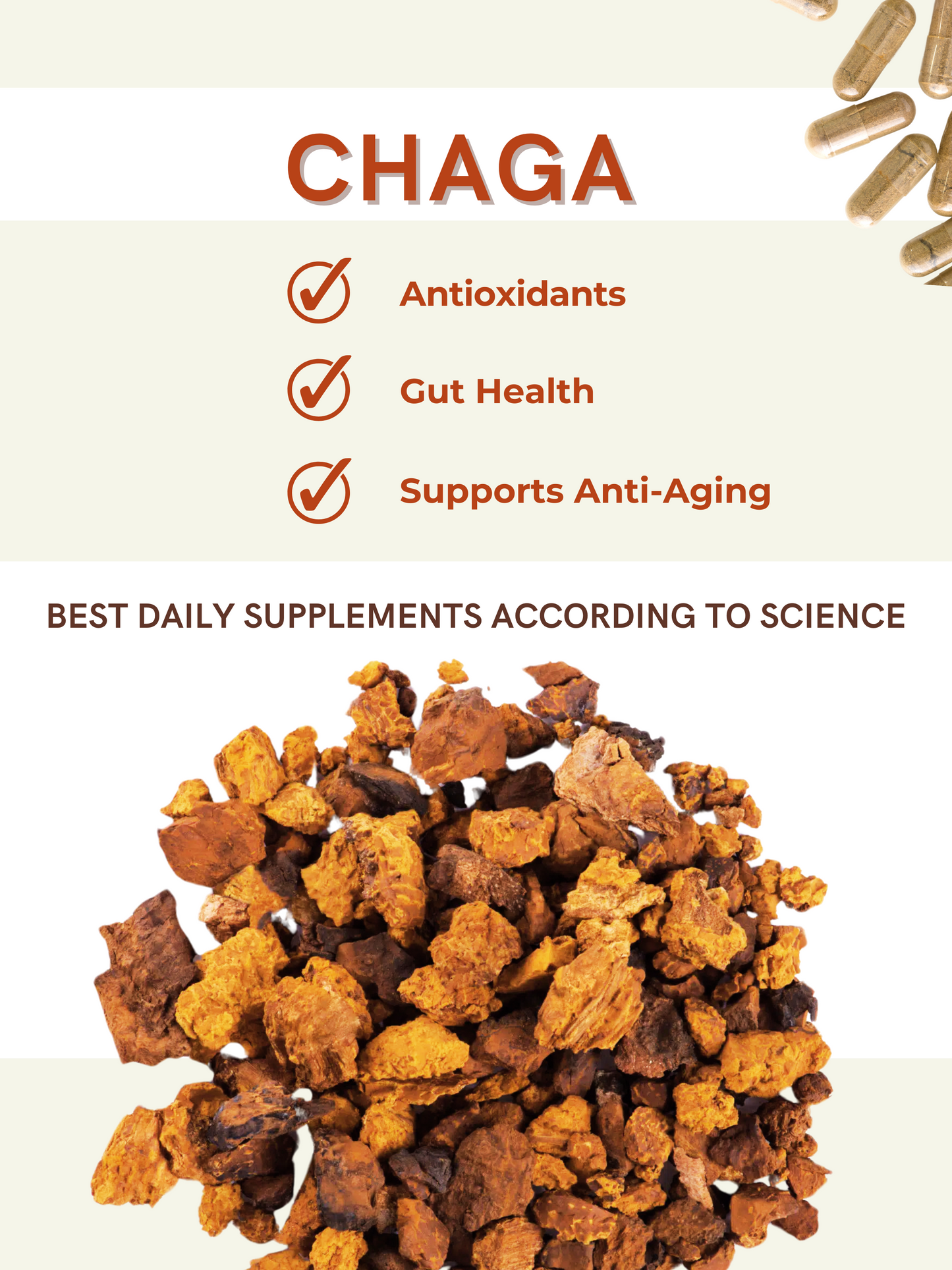 
                  
                    Chaga Mushroom Capsules – Longevity
                  
                