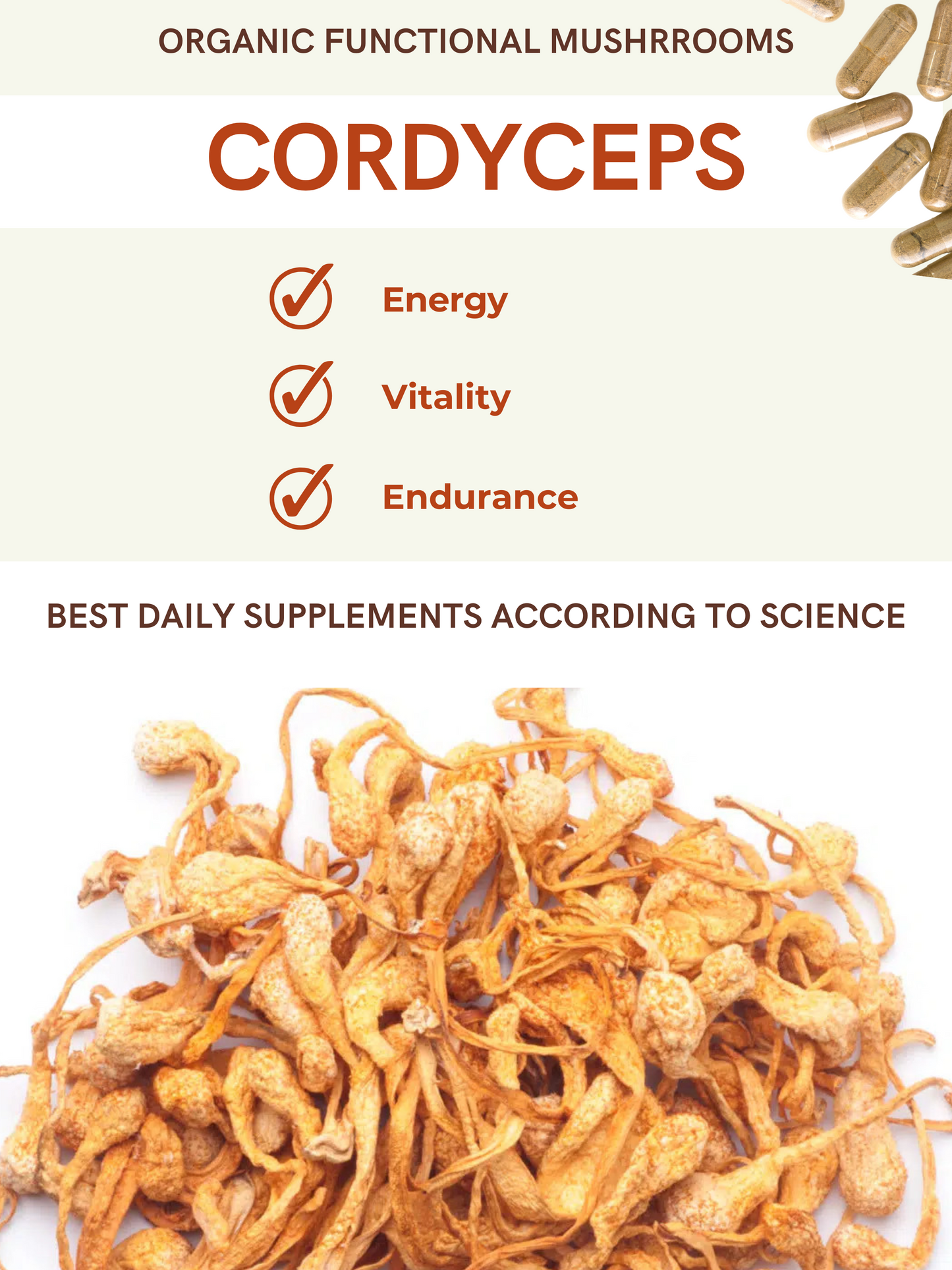 
                  
                    Cordycepts Energy + Vitality + Endurance
                  
                