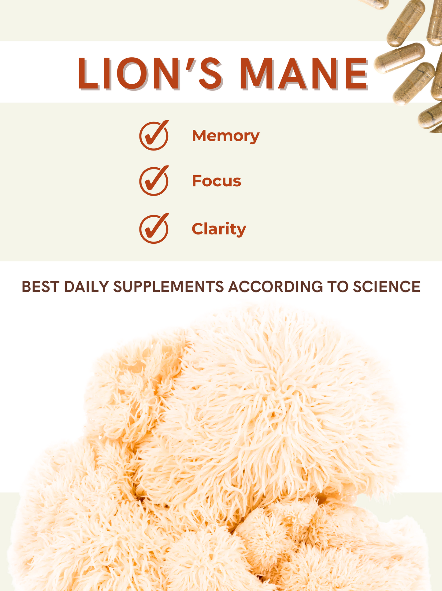 
                  
                    Lion's Mane Capsules - Clarity
                  
                