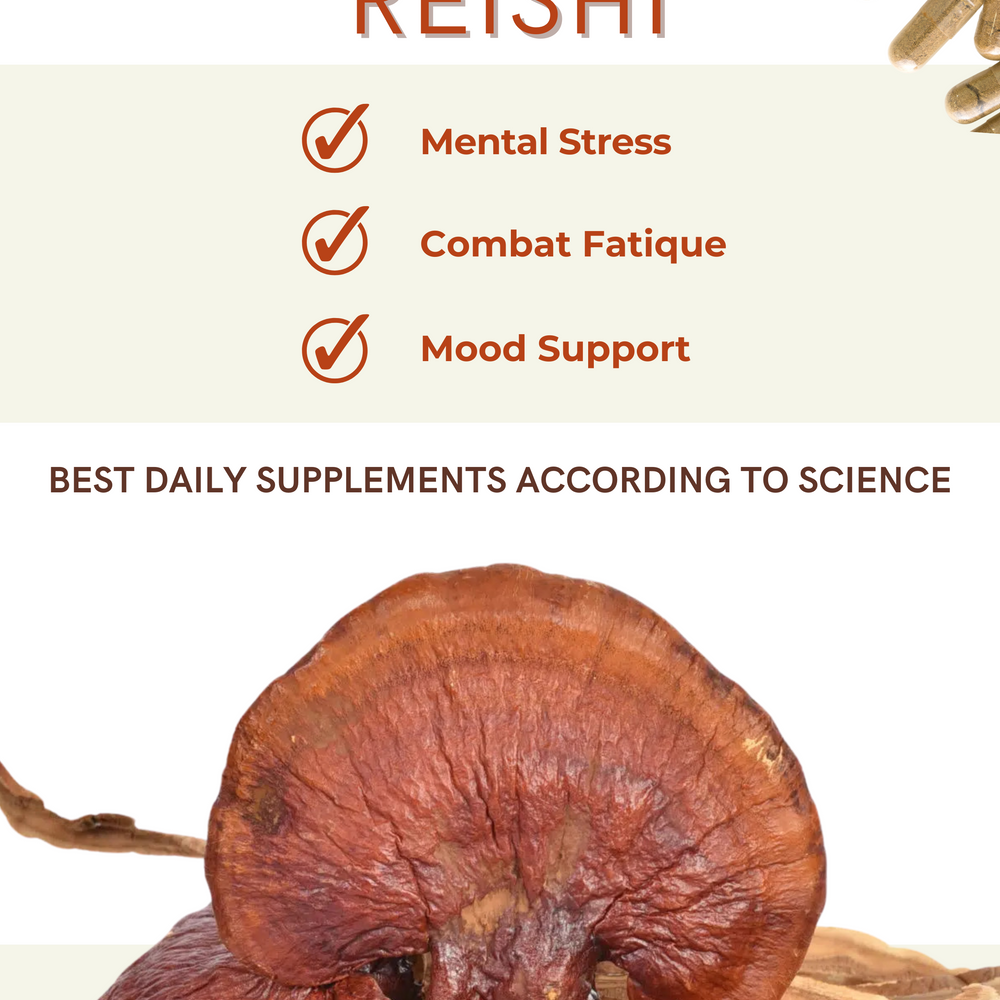 
                  
                    Reishi Mushroom Capsules – Longevity
                  
                