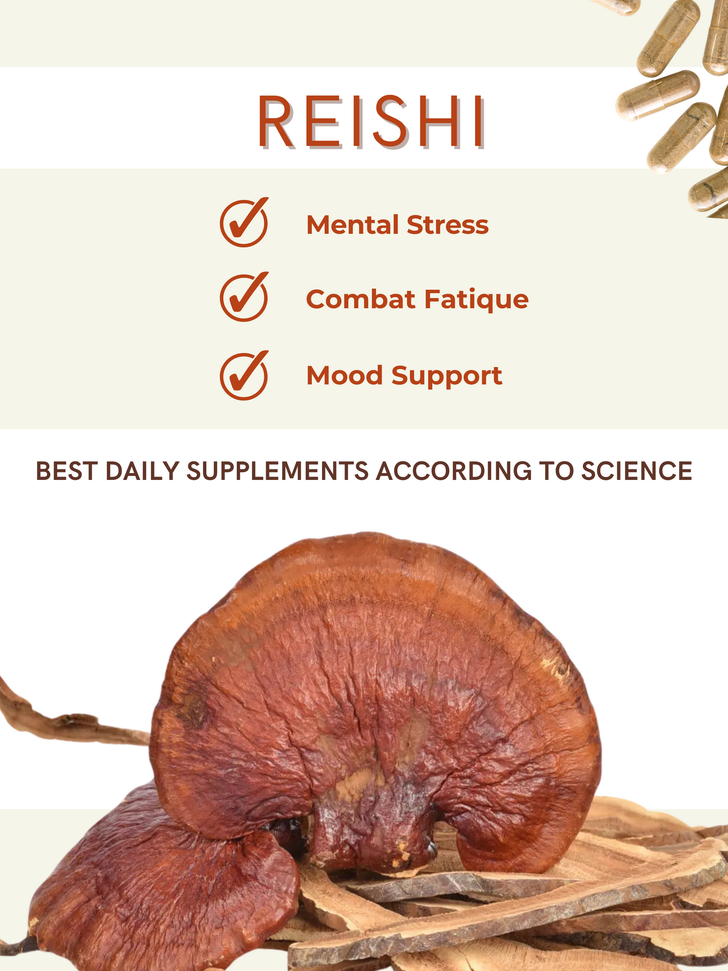 
                  
                    Reishi Mushroom Capsules – Longevity
                  
                