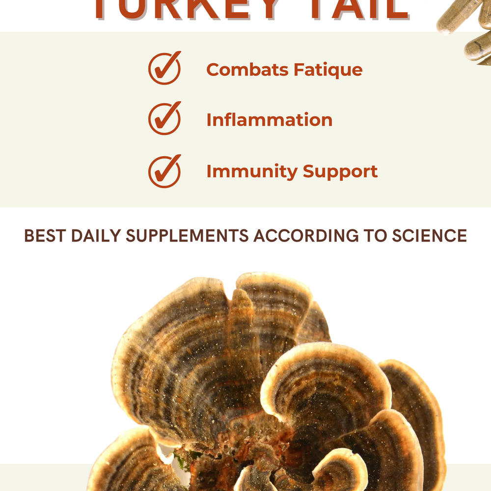 
                  
                    Turkey Tail Mushroom Capsules - Immunity
                  
                