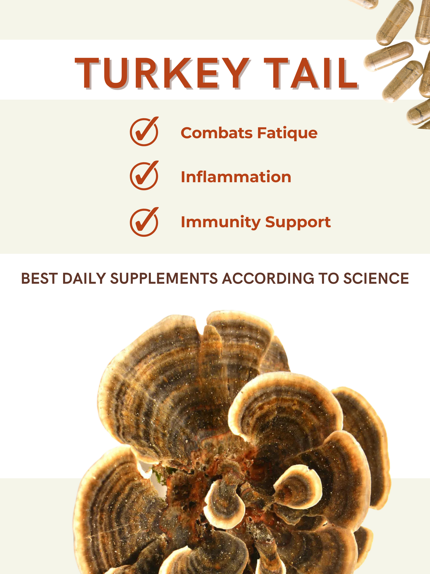 
                  
                    Turkey Tail Mushroom Capsules - Immunity
                  
                